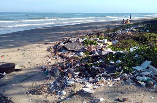 "Tag des Meeres" - Plastik gehört nicht in die Umwelt!