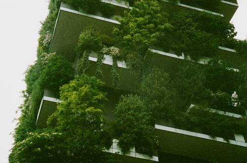 Urban Gardening: Die neue Form der grünen Erholung auf Balkonen und über den Dächern der Stadt